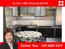 Blk 250 Choa Chu Kang Avenue 2 (Choa Chu Kang), HDB 5 Rooms #119598752